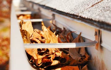 Carterspiece gutter cleaning companies
