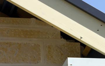 soffit repair Carterspiece